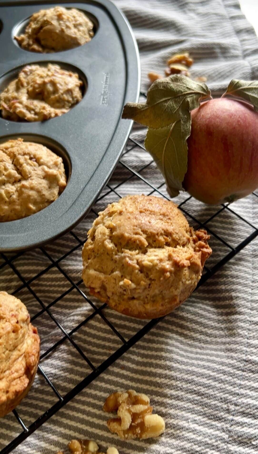 Apfel Walnuss Muffins zuckerfrei Foodrevers Jasmin Evers