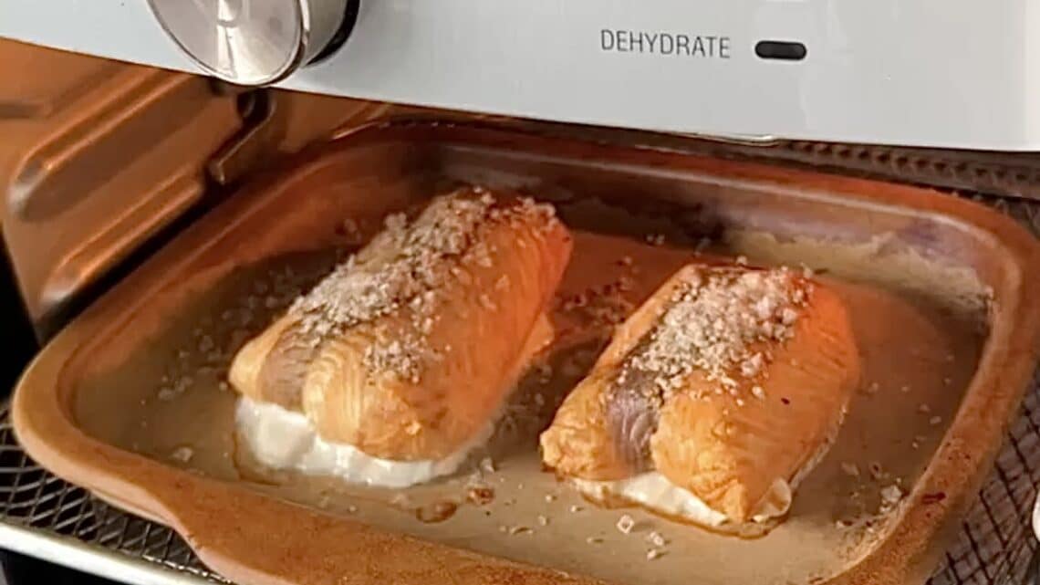 Lachs aus dem Air Fryer